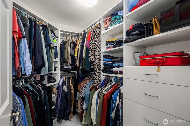 15214 102nd Ave NE, Bothell, WA 98011 - view of walk in closet