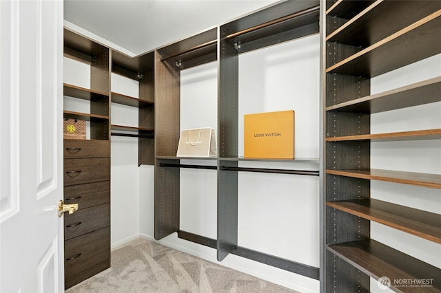 3303 174th Pl SE, Bothell, WA 98012 - walk in closet with carpet