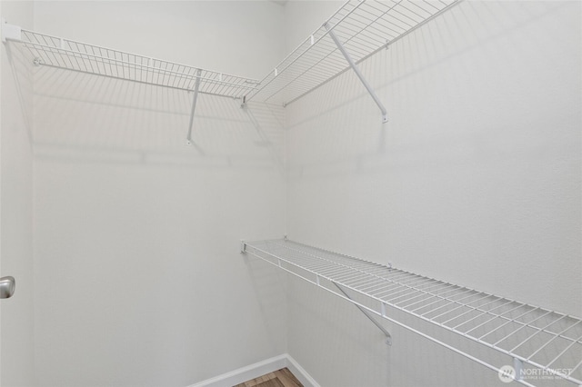 25405 36th Ave E, Spanaway, WA 98387 - walk in closet featuring wood finished floors