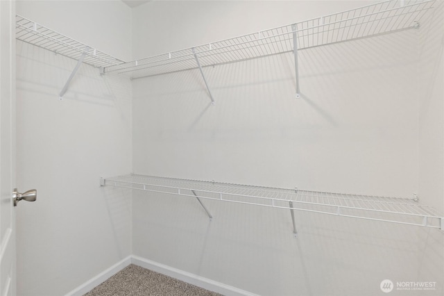 25405 36th Ave E, Spanaway, WA 98387 - walk in closet featuring carpet flooring