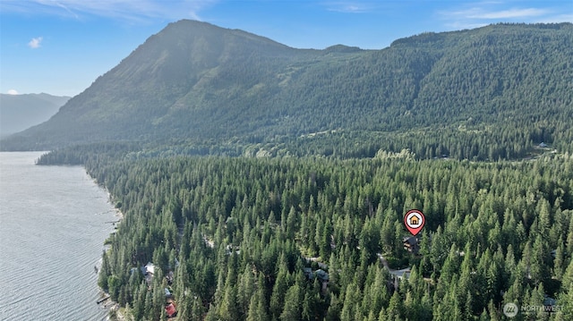 16060 Telemark Ln, Leavenworth, WA 98826 - view of mountain background with a forest and a nearby body of water