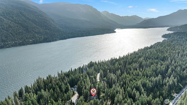 16060 Telemark Ln, Leavenworth, WA 98826 - drone / aerial view of a heavily wooded area and a water and mountain view