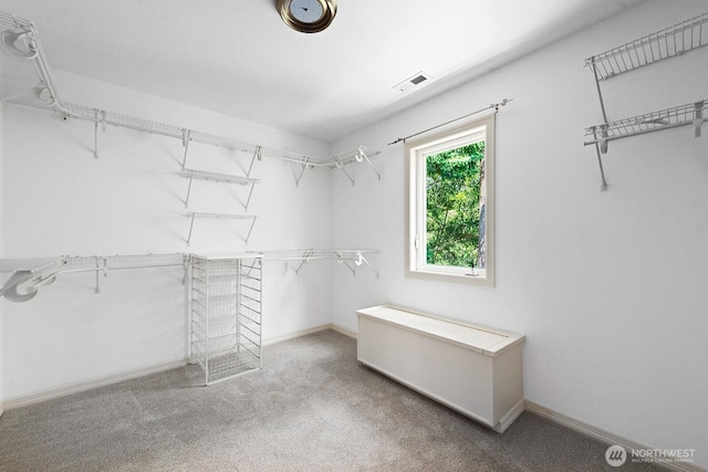 4935 163rd Pl SE, Bellevue, WA 98006 - spacious closet with carpet flooring