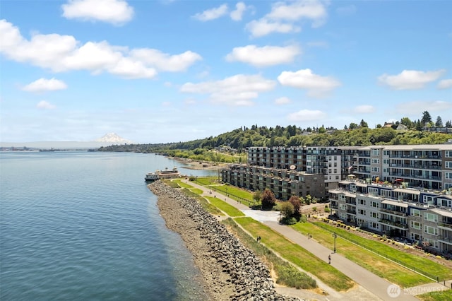 4907 Main St Unit 207, Tacoma, WA 98407 - water view