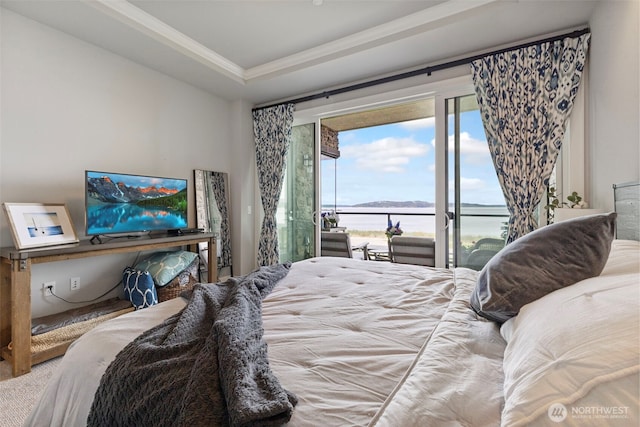 4907 Main St Unit 207, Tacoma, WA 98407 - bedroom featuring access to exterior, ornamental molding, a water view, and a raised ceiling