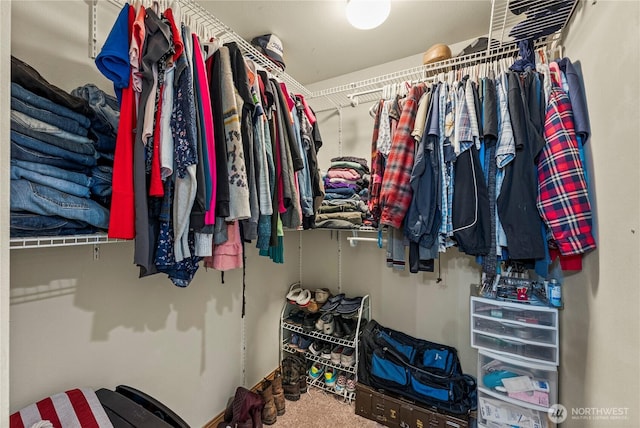 20523 193rd Avenue Ct E, Orting, WA 98360 - walk in closet featuring carpet flooring