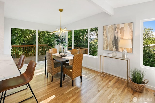12569 37th Ave NE, Seattle, WA 98125 - dining space with light wood-style flooring