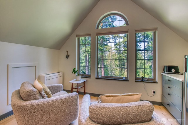 87 Levon Ln, Orcas Island, WA 98243 - sitting room featuring vaulted ceiling and light wood-style floors