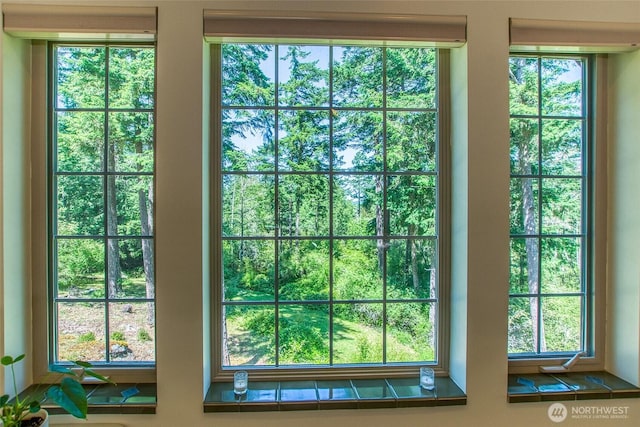 87 Levon Ln, Orcas Island, WA 98243 - entryway with healthy amount of natural light