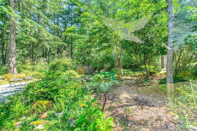 87 Levon Ln, Orcas Island, WA 98243 - view of nature