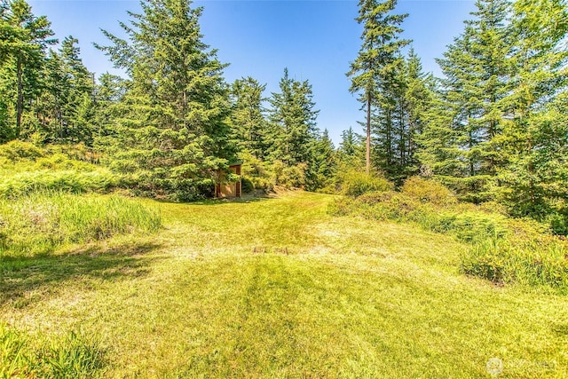 87 Levon Ln, Orcas Island, WA 98243 - view of yard with a wooded view