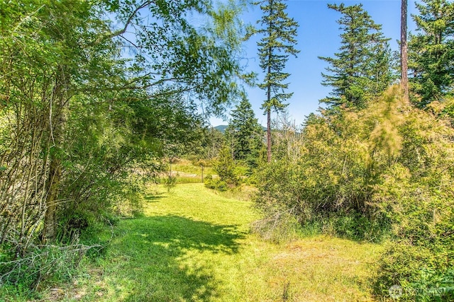 87 Levon Ln, Orcas Island, WA 98243 - view of woods