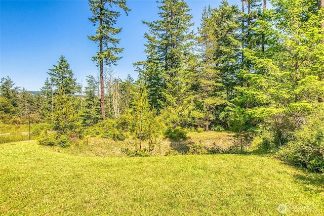 87 Levon Ln, Orcas Island, WA 98243 - view of grassy yard featuring a wooded view