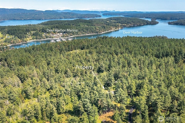 87 Levon Ln, Orcas Island, WA 98243 - drone / aerial view of a forest and a water and mountain view