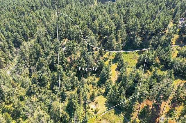 87 Levon Ln, Orcas Island, WA 98243 - aerial overview of property's location featuring property boundaries highlighted and a heavily wooded area