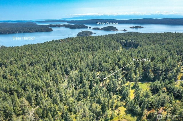 87 Levon Ln, Orcas Island, WA 98243 - bird's eye view of a heavily wooded area and a water and mountain view
