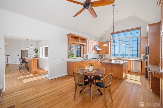 3851 Cliffside Dr, Bellingham, WA 98225 - kitchen with stainless steel appliances, a kitchen island with sink, decorative backsplash, under cabinet range hood, and light wood-style flooring