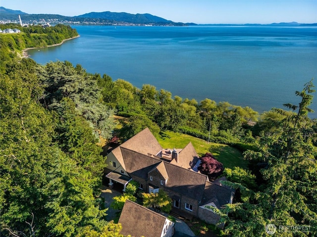 3851 Cliffside Dr, Bellingham, WA 98225 - bird's eye view of a water and mountain view