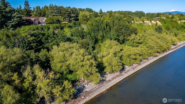 3851 Cliffside Dr, Bellingham, WA 98225 - aerial view of property's location with a large body of water