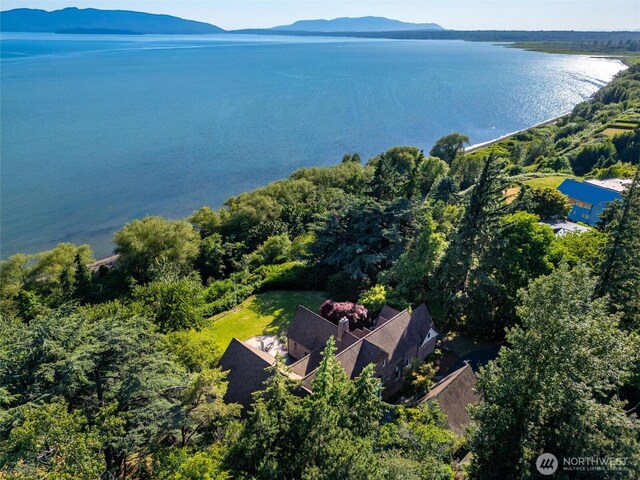 3851 Cliffside Dr, Bellingham, WA 98225 - aerial view of a water and mountain view