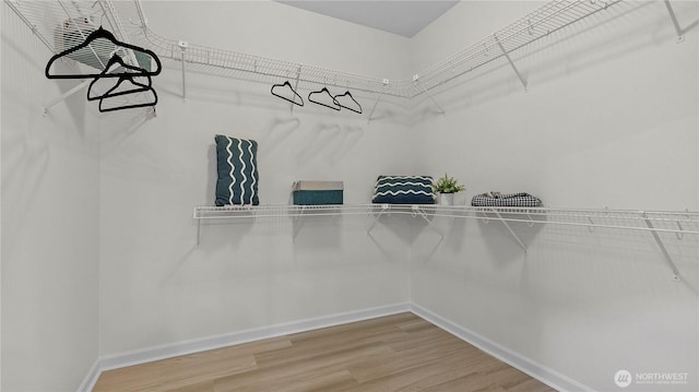 11832 158th Ave NE, Redmond, WA 98052 - spacious closet with wood finished floors