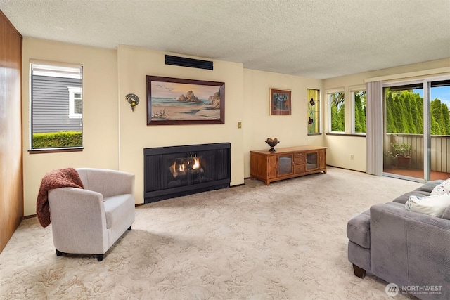 335 3rd Ave S Unit 203, Edmonds, WA 98020 - carpeted living room with a textured ceiling and a lit fireplace