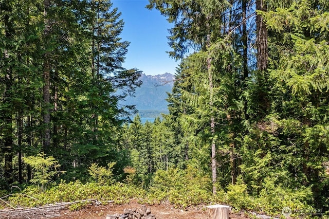 5154 N Lake Cushman Rd, Hoodsport, WA 98548 - photo 3
