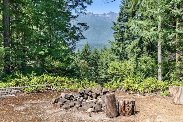5154 N Lake Cushman Rd, Hoodsport, WA 98548 - photo 4