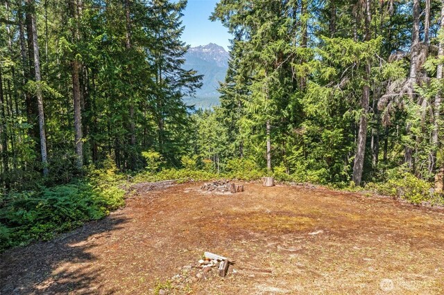 5154 N Lake Cushman Rd, Hoodsport, WA 98548 - photo 5