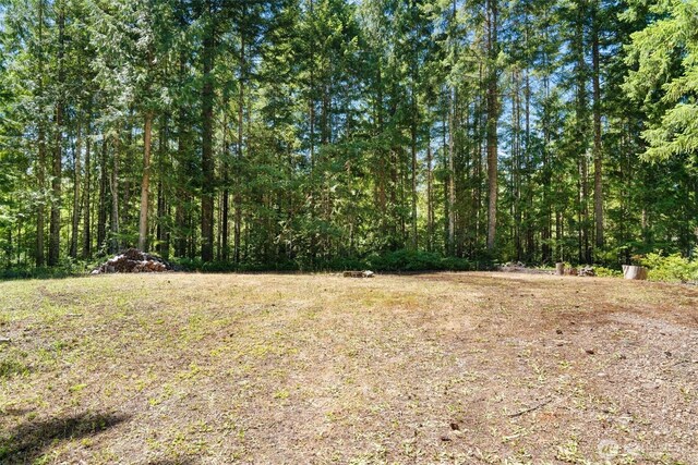 5154 N Lake Cushman Rd, Hoodsport, WA 98548 - photo 6