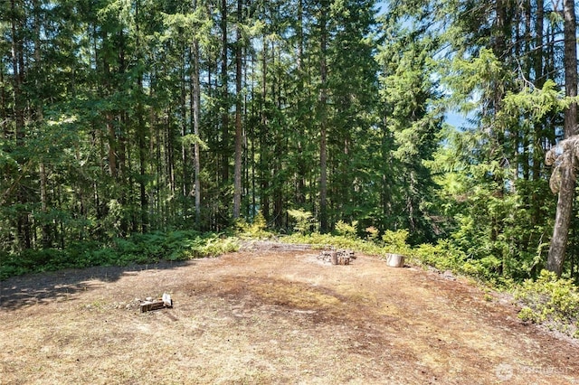5154 N Lake Cushman Rd, Hoodsport, WA 98548 - photo 7