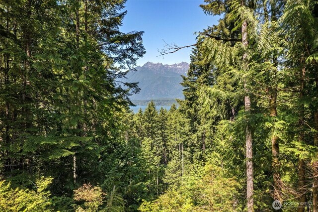 5154 N Lake Cushman Rd, Hoodsport, WA 98548 - photo 8