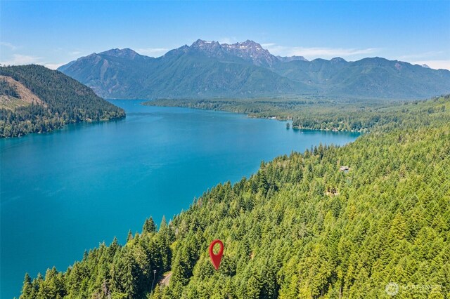 5154 N Lake Cushman Rd, Hoodsport, WA 98548 - photo 9