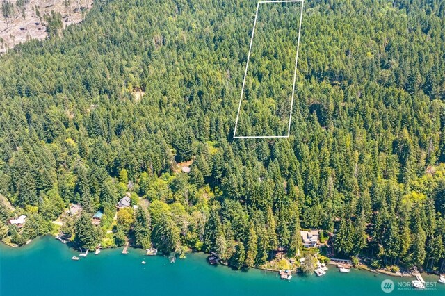 5154 N Lake Cushman Rd, Hoodsport, WA 98548 - photo 10