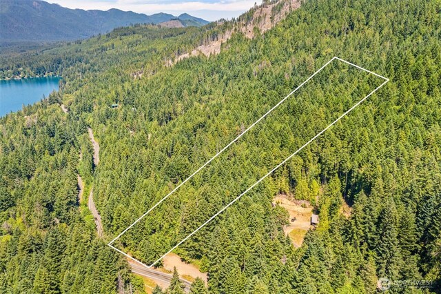 5154 N Lake Cushman Rd, Hoodsport, WA 98548 - photo 12