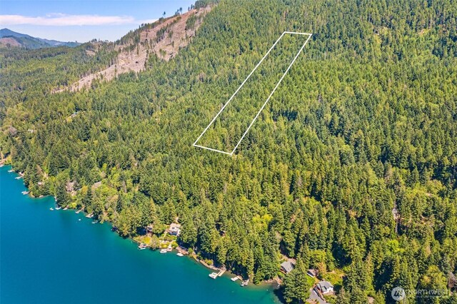 5154 N Lake Cushman Rd, Hoodsport, WA 98548 - photo 13