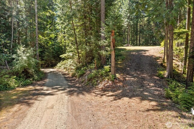 5154 N Lake Cushman Rd, Hoodsport, WA 98548 - photo 14