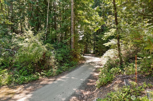 5154 N Lake Cushman Rd, Hoodsport, WA 98548 - photo 16