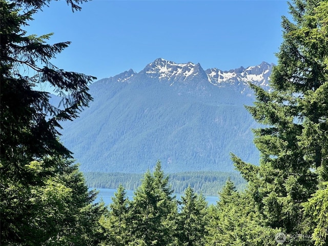 5154 N Lake Cushman Rd, Hoodsport, WA 98548 - photo 1