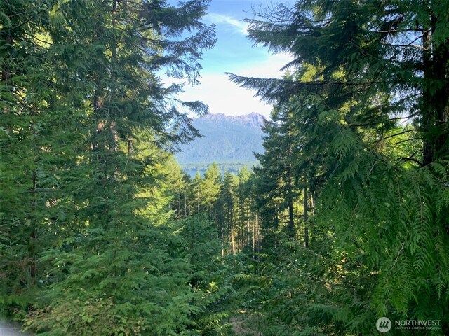 5154 N Lake Cushman Rd, Hoodsport, WA 98548 - photo 22