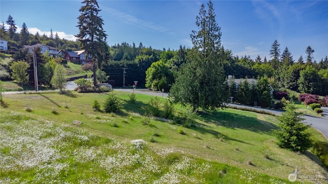 0X Marianne Mdws Lot 5, Port Ludlow, WA 98365 - photo 2