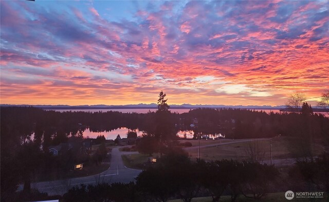 0X Marianne Mdws Lot 5, Port Ludlow, WA 98365 - photo 6