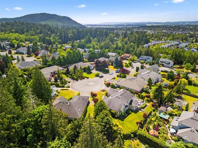 3819 Ridge Ct, Mount Vernon, WA 98274 - aerial view of residential area with a heavily wooded area and a mountain backdrop