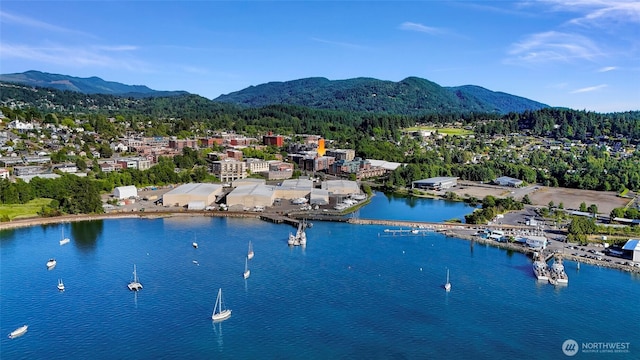 910 Harris Ave Unit 304, Bellingham, WA 98225 - aerial view of a water and mountain view and a forest
