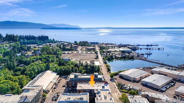 910 Harris Ave Unit 304, Bellingham, WA 98225 - aerial view of a water and mountain view
