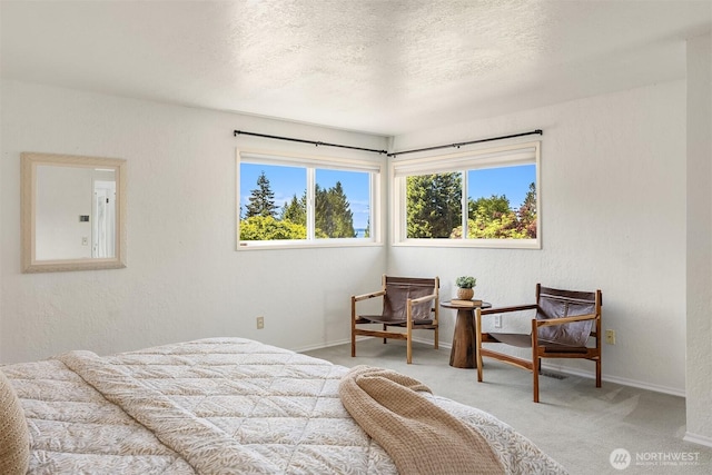 9119 185th Pl SW, Edmonds, WA 98026 - carpeted bedroom featuring a textured ceiling and a textured wall