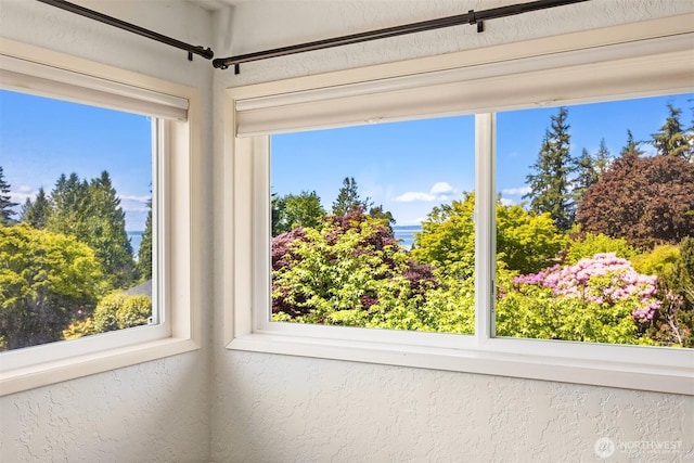 9119 185th Pl SW, Edmonds, WA 98026 - unfurnished sunroom featuring a textured wall