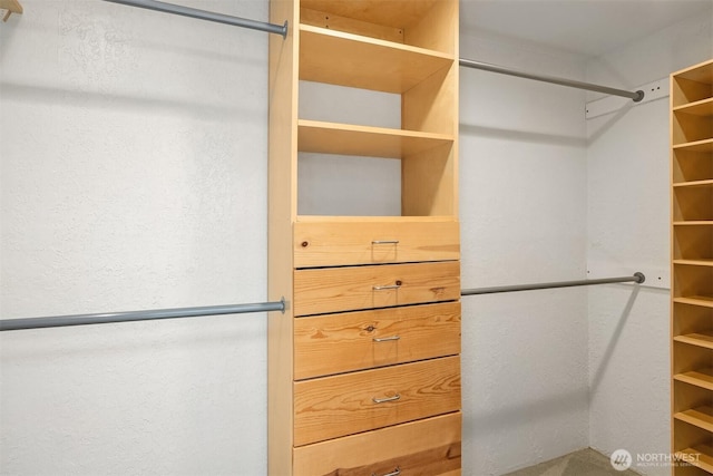 9119 185th Pl SW, Edmonds, WA 98026 - view of walk in closet