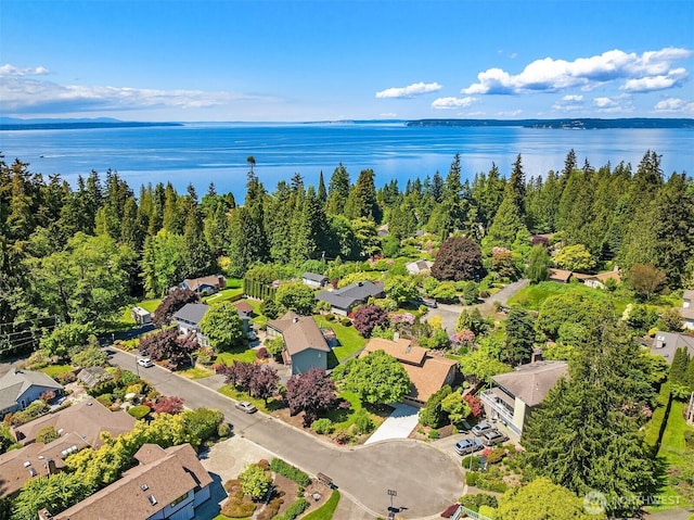 9119 185th Pl SW, Edmonds, WA 98026 - aerial perspective of suburban area with a large body of water