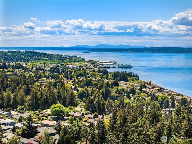 9119 185th Pl SW, Edmonds, WA 98026 - drone / aerial view of a water and mountain view